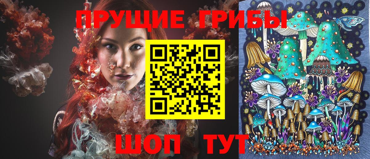 Костомукша  Галлюциногенные грибы MAGIC MUSHROOMS  Вход с VPN  Галлюциногенные грибы Cubensis 